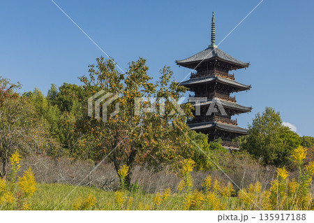 日本 岡山県総社市にある備中国分寺の五重塔 日本 岡山県総社市にある備中国分寺の五重塔 135917188