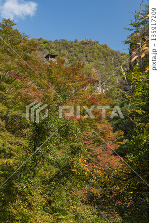 日本　岡山県総社市の高梁川支流槙谷川の上流にある豪渓の紅葉と剣峰・雲梯峰 135917209