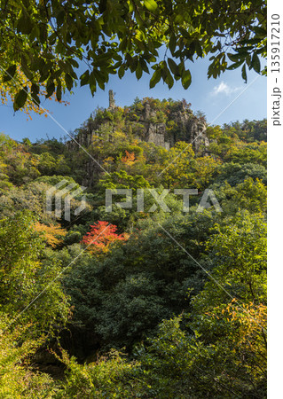 日本 岡山県総社市の高梁川支流槙谷川の上流にある豪渓の紅葉と剣峰・雲梯峰 日本 岡山県総社市の高梁川支流槙谷川の上流にある豪渓の紅葉と剣峰・雲梯峰 135917210