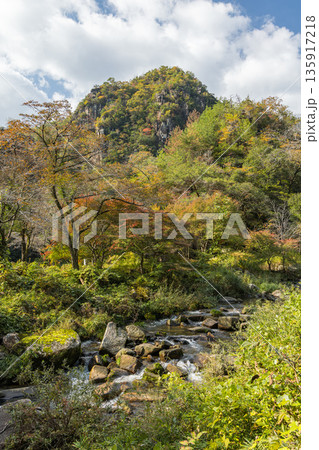 日本　岡山県総社市の高梁川支流槙谷川の上流にある豪渓の紅葉と天柱 135917218