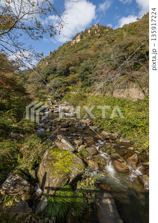 日本 岡山県総社市の高梁川支流槙谷川の上流にある豪渓の紅葉 日本 岡山県総社市の高梁川支流槙谷川の上流にある豪渓の紅葉 135917224