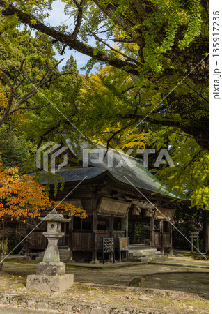 日本 岡山県真庭市蒜山にある福田神社の黄葉前、ほのかに黄緑色に色づく大銀杏 日本 岡山県真庭市蒜山にある福田神社の黄葉前、ほのかに黄緑色に色づく大銀杏 135917236