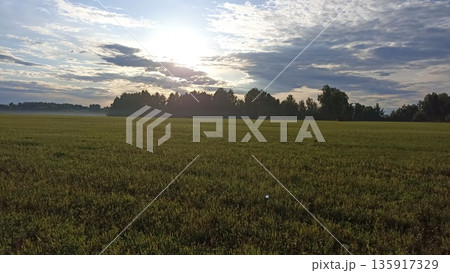 A serene countryside scene showcasing a vast field of hay bales, framed by a lush forest and a partly cloudy sky. This image captures the essence of rural tranquility and natural beauty. A serene countryside scene showcasing a vast field of hay bales, framed by a lush forest and a partly cloudy sky. This image captures the essence of rural tranquility and natural beauty. 135917329