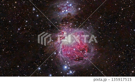 オリオン大星雲（M42・NGC1976） 135917515