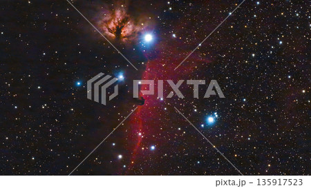 馬頭星雲と燃える木星雲(NGC2024) 馬頭星雲と燃える木星雲(NGC2024) 135917523