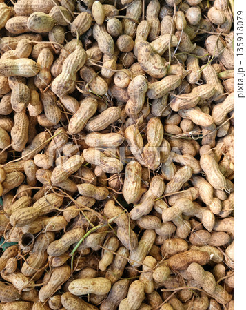 A collection of harvested peanuts A collection of harvested peanuts 135918079