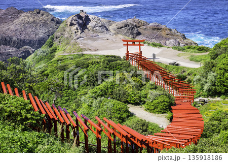 123基の赤鳥居が並ぶ絶景神社 元乃隅神社(山口県長門市) 123基の赤鳥居が並ぶ絶景神社 元乃隅神社(山口県長門市) 135918186