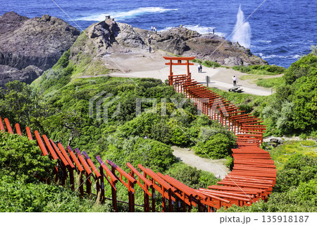 123基の赤鳥居が並ぶ絶景神社 元乃隅神社(山口県長門市) 123基の赤鳥居が並ぶ絶景神社 元乃隅神社(山口県長門市) 135918187
