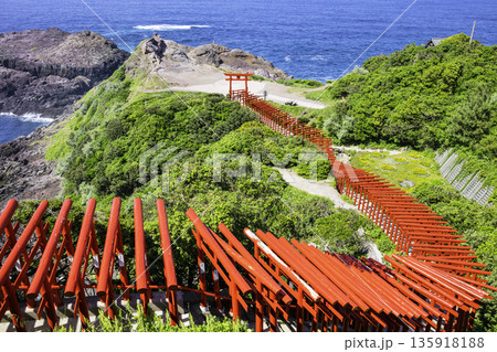123基の赤鳥居が並ぶ絶景神社 元乃隅神社(山口県長門市) 123基の赤鳥居が並ぶ絶景神社 元乃隅神社(山口県長門市) 135918188