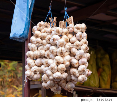 Garlic hanging on market stall Garlic hanging on market stall 135918341