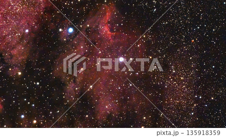 ペリカン星雲（IC5067-5070） 135918359