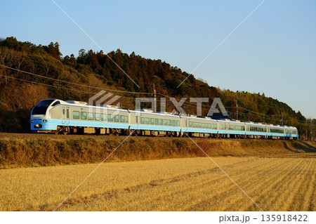 冬の田園風景とE653系/フレッシュひたち色の初詣列車 135918422