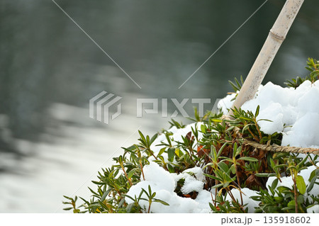 雪に包まれた竹支柱と湖畔の植物 135918602
