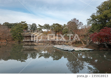 【紅葉】秋の奈良公園　鷺池に浮かぶ浮見堂 135918913