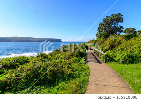 オーストラリアのシドニー近郊で眺める美しい海岸風景 135919000