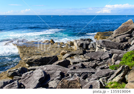 オーストラリアのシドニー近郊で眺める美しい海岸風景 オーストラリアのシドニー近郊で眺める美しい海岸風景 135919004