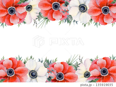 Spring floral banner template with red and white poppies. Romantic field anemones horizontal frame illustration. Wildflowers drawing for pastel spring cards or watercolor mothers day greetings 135919035