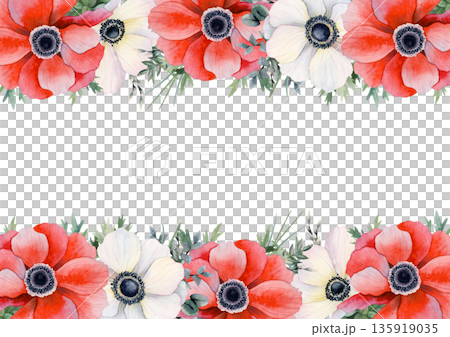 Spring floral banner template with red and white poppies. Romantic field anemones horizontal frame illustration. Wildflowers drawing for pastel spring cards or watercolor mothers day greetings 135919035