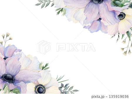 Floral wedding invitation template with white and pastel purple poppies. Anemone wildflowers horizontal banner with copy space. Romantic spring holidays design Floral wedding invitation template with white and pastel purple poppies. Anemone wildflowers horizontal banner with copy space. Romantic spring holidays design 135919036