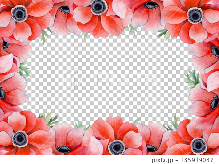 Hand drawn red poppies horizontal frame isolated on white for spring holiday floral designs. Botanical watercolor A5 greeting card template with copy space with field anemones flowers Hand drawn red poppies horizontal frame isolated on white for spring holiday floral designs. Botanical watercolor A5 greeting card template with copy space with field anemones flowers 135919037