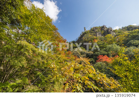 日本 岡山県総社市の高梁川支流槙谷川の上流にある豪渓の紅葉と剣峰・雲梯峰 日本 岡山県総社市の高梁川支流槙谷川の上流にある豪渓の紅葉と剣峰・雲梯峰 135919074