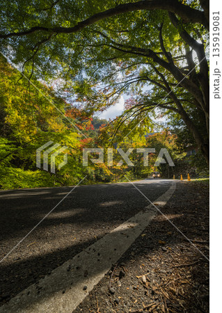 日本 岡山県総社市の高梁川支流槙谷川の上流にある豪渓の紅葉 日本 岡山県総社市の高梁川支流槙谷川の上流にある豪渓の紅葉 135919081