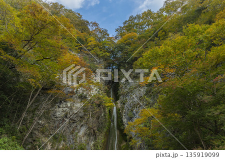 日本 岡山県新見市にある絹掛の滝と紅葉 日本 岡山県新見市にある絹掛の滝と紅葉 135919099