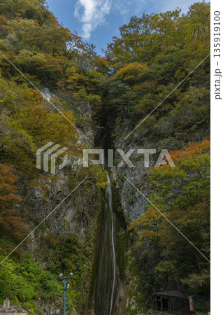 日本 岡山県新見市にある絹掛の滝と紅葉 日本 岡山県新見市にある絹掛の滝と紅葉 135919100