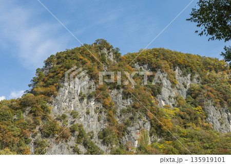日本 岡山県新見市井倉にある井倉峡の絶壁と紅葉 日本 岡山県新見市井倉にある井倉峡の絶壁と紅葉 135919101