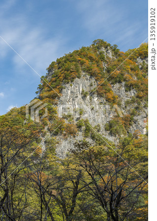 日本 岡山県新見市井倉にある井倉峡の絶壁と紅葉 日本 岡山県新見市井倉にある井倉峡の絶壁と紅葉 135919102
