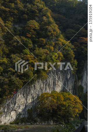 日本 岡山県新見市にある井倉峡沿いを流れる高梁川と紅葉 日本 岡山県新見市にある井倉峡沿いを流れる高梁川と紅葉 135919104