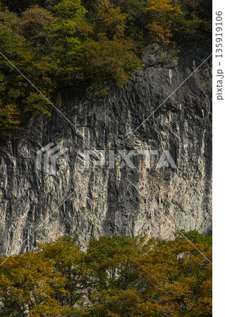 日本 岡山県新見市井倉にある井倉峡の絶壁と紅葉 日本 岡山県新見市井倉にある井倉峡の絶壁と紅葉 135919106