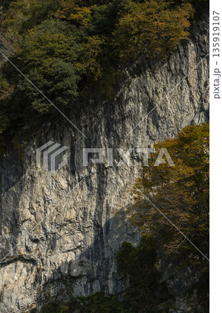 日本 岡山県新見市井倉にある井倉峡の絶壁と紅葉 日本 岡山県新見市井倉にある井倉峡の絶壁と紅葉 135919107