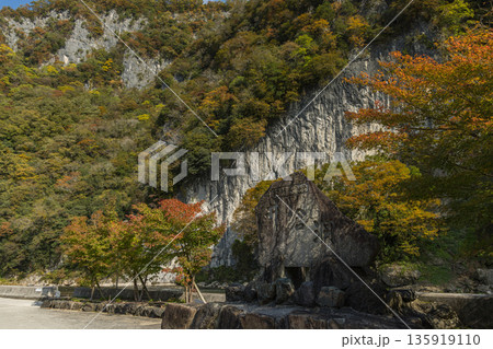 日本 岡山県新見市にある井倉峡沿いを流れる高梁川と紅葉 日本 岡山県新見市にある井倉峡沿いを流れる高梁川と紅葉 135919110