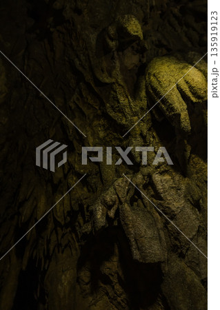 日本 岡山県新見市井倉にある井倉洞の鍾乳石 日本 岡山県新見市井倉にある井倉洞の鍾乳石 135919123