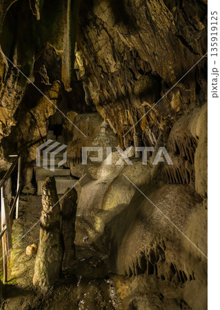 日本 岡山県新見市井倉にある井倉洞の鍾乳石 日本 岡山県新見市井倉にある井倉洞の鍾乳石 135919125