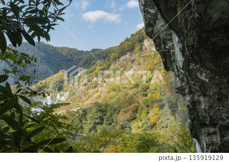 日本 岡山県新見市井倉にある井倉峡の絶壁と紅葉 日本 岡山県新見市井倉にある井倉峡の絶壁と紅葉 135919129
