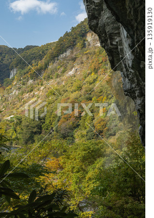 日本　岡山県新見市井倉にある井倉峡の絶壁と紅葉 135919130