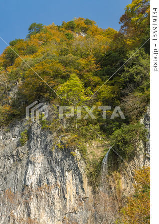 日本 岡山県新見市井倉にある井倉峡の絶壁と紅葉 日本 岡山県新見市井倉にある井倉峡の絶壁と紅葉 135919134