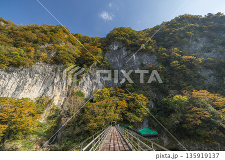 日本　岡山県新見市にある井倉峡沿いを流れる高梁川と紅葉と井倉の滝 135919137