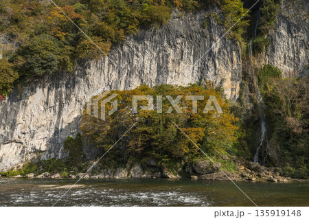 日本 岡山県新見市にある井倉峡沿いを流れる高梁川と紅葉と井倉の滝 日本 岡山県新見市にある井倉峡沿いを流れる高梁川と紅葉と井倉の滝 135919148