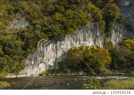 日本　岡山県新見市にある井倉峡の紅葉と井倉の滝 135919158