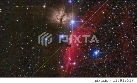 馬頭星雲と燃える木星雲（NGC2024） 135919517