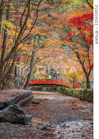 森町の遠江国一宮小國神社の紅葉の風景(静岡県) 森町の遠江国一宮小國神社の紅葉の風景(静岡県) 135919552