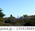 保土ヶ谷公園から見た風景 135919689