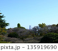 保土ヶ谷公園から見た風景 135919690