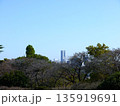 保土ヶ谷公園から見たランドマークタワー 135919691