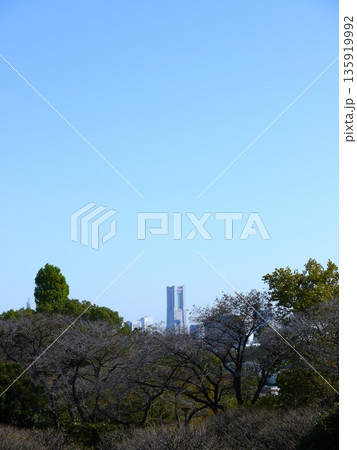 保土ヶ谷公園から見た風景 135919992