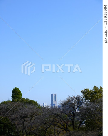 保土ヶ谷公園から見たランドマークタワー 135919994