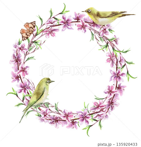 A wreath of blooming peach branches with two birds and a butterfly. Isolated watercolor illustration in a realistic style for postcards, interiors, spring holidays, packaging, and poster printing. 135920433